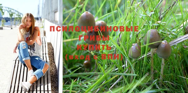 стафф Алзамай