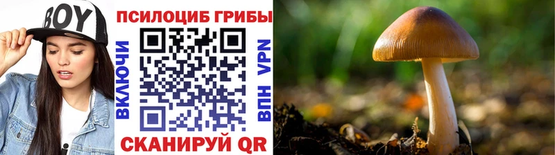 Галлюциногенные грибы прущие грибы  Суровикино 